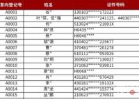深圳樓盤604套千萬豪宅一天賣光 大戶型賣得最快