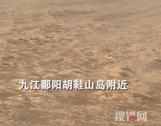 江西干旱已超70天:鄱陽湖刮沙塵暴 為什么干旱這么嚴重？
