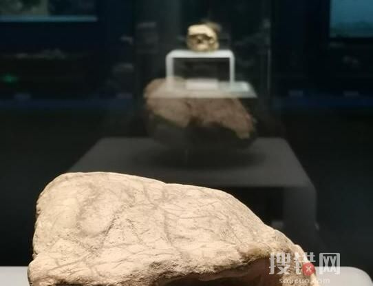 湖北發現距今百萬年人類頭骨化石 究竟是什么年代的？