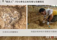 湖北發現距今百萬年人類頭骨化石 究竟是什么年代的？