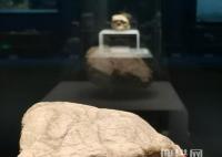 湖北發現距今百萬年人類頭骨化石 為什么保存這么久？