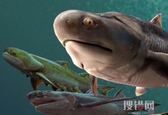 “從魚到人”有了關鍵證據 到底是不是真的？
