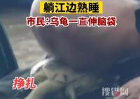 大爺將烏龜當(dāng)枕頭躺江邊熟睡 原因竟是這樣簡(jiǎn)直太無語(yǔ)了