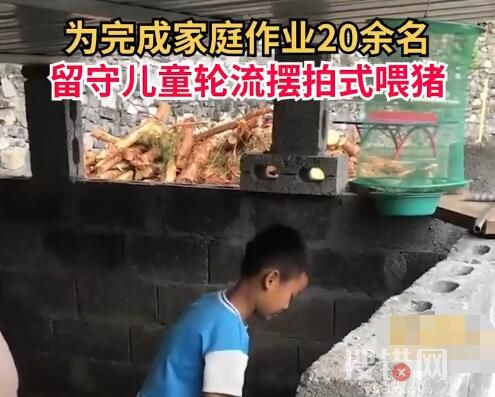 20余名留守娃輪流擺拍喂豬完成作業(yè) 隔兩三秒擺拍一下