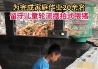 20余名留守娃輪流擺拍喂豬完成作業(yè) 現(xiàn)在豬都變成老演員了