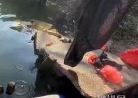 男子釣魚救下被裹塑料袋扔河里的貓 實在太感人了