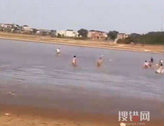 市民到鄱陽湖撿魚 官方:很危險 背后真相實在讓人驚愕