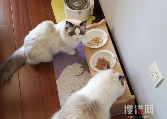 年輕人假期兼職圖鑒 內(nèi)幕曝光簡直太意外了