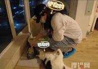 年輕人假期兼職圖鑒 內幕曝光簡直太意外了