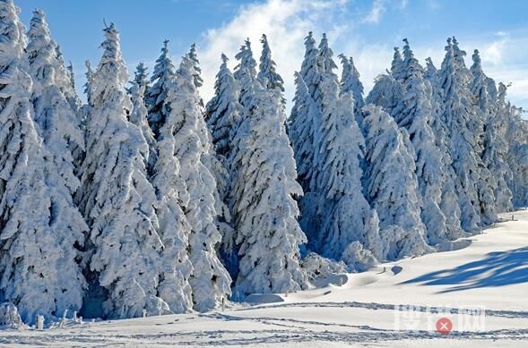 遼寧多地大雪 積雪深處沒(méi)過(guò)腳踝 出現(xiàn)大面積降溫