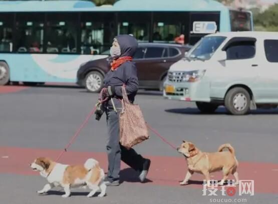這個冬天會出現極端寒潮嗎? 背后真相實在讓人驚愕