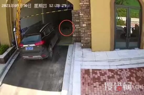 清潔工躺車庫被碾身亡 司機被判無罪 原因竟是這樣簡直太悲劇