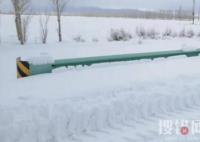 媒體:新疆暴雪 有牧民失聯牛羊凍死 內幕曝光簡直太意外了