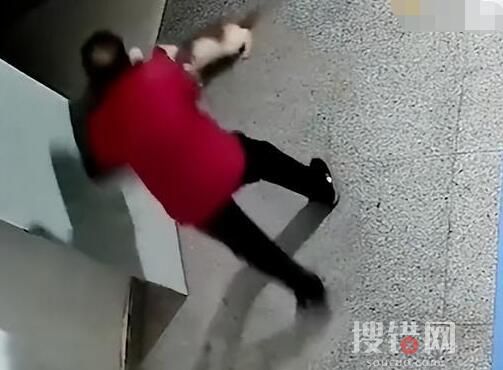殘疾流浪貓遭老人惡意踢打驅(qū)趕 背后真相實(shí)在是太意外了