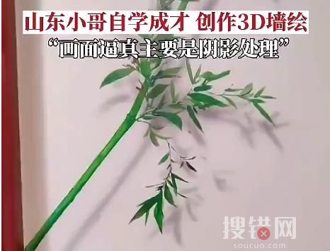 男子自學3D墻繪三年 畫作逼真簡直太驚人了