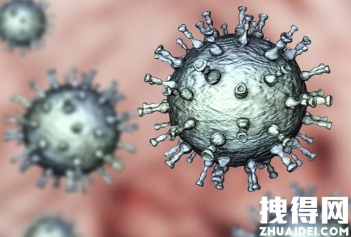 杭州通報10名小學生陽性:首次感染 到底是什么情況?