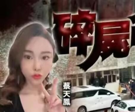 香港名媛碎尸案進展:前夫潛逃時被抓 真相揭露真的令人大吃一驚
