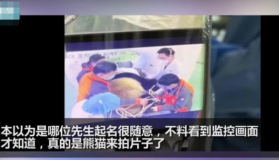 醫(yī)院有位患者叫熊貓是真熊貓 到底是什么情況?