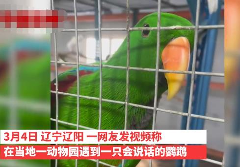 遼寧一動(dòng)物園鸚鵡滿嘴東北味 照片曝光直接讓人大呼意外