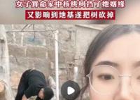 女子算命核桃樹擋姻緣家人將樹砍掉 具體事件經過是什么?