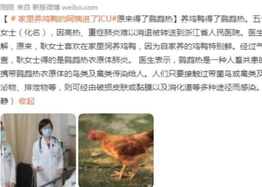 女子喜歡養(yǎng)雞鴨患鸚鵡熱住進ICU 背后真相曝光簡直太驚人了