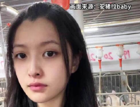 24歲高顏值女孩回應大學畢業養豬 原因揭秘直接讓人傻眼了
