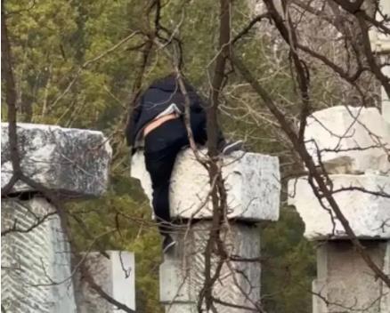 圓明園回應(yīng)男子攀爬遺址拍照 具體事件經(jīng)過是什么?