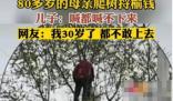 80多歲老太爬樹摘榆錢 喊都喊不下來 背后原因簡直驚呆了眾人
