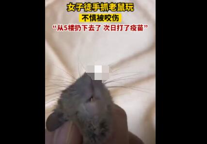 女子徒手抓老鼠玩不慎被咬傷 真相離奇讓人直呼太意外