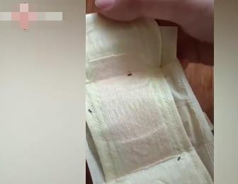 女子在衛生巾中發現大量發黑蟲卵 真相曝光簡直太驚人了