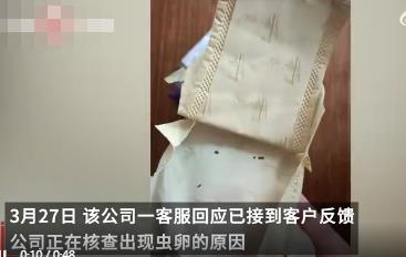 女子在衛生巾中發現大量發黑蟲卵 真相曝光簡直太驚人了