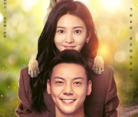 照亮你小說原著叫什么?