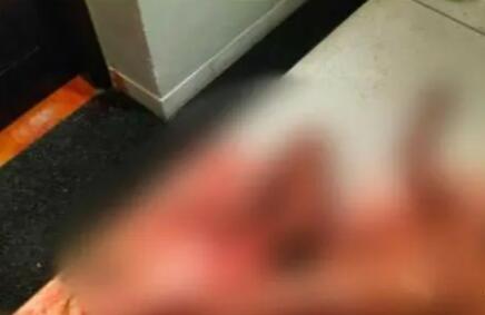 巴厘島身亡中國男子掙扎爬行20分鐘 到底是什么情況?