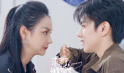 求求了快復婚吧主要講述了什么故事內容?