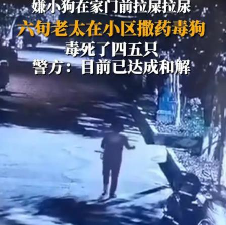 女子疑在小區(qū)內(nèi)撒藥致多條狗死亡 真相曝光簡直太驚人了