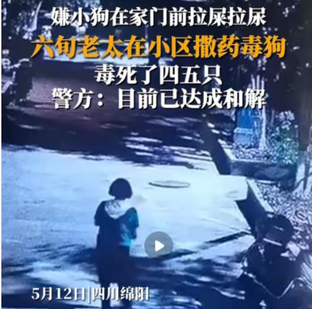 女子疑在小區(qū)內(nèi)撒藥致多條狗死亡 真相曝光簡直太驚人了