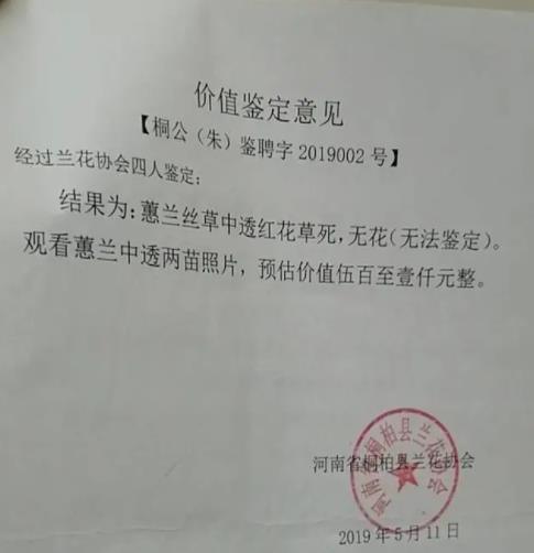 農婦掐走兩枝蘭花被判三緩四 網友評論可討論程度堪比“大學生掏鳥案”