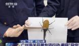 這些非法入境“異寵”隱患多 究竟是怎么回事？