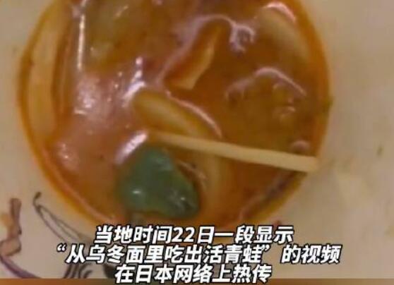 烏冬面里吃出活青蛙 日連鎖店道歉 顧客產生很大的擔心和困擾