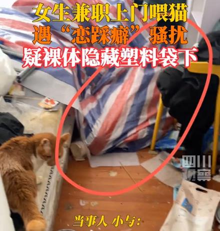 女生兼職上門喂貓遭戀踩癖騷擾