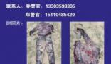 山西黃河灘邊發(fā)現(xiàn)一具無(wú)名女尸 始料未及真相簡(jiǎn)直太意外了