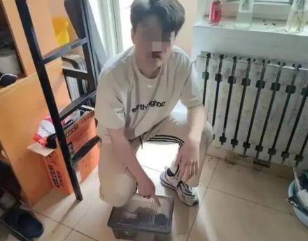 大學生網購零食放蟲子敲詐40多次 到底是什么情況?