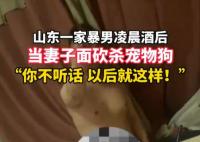 柯基被砍 女子:丈夫說(shuō)坐牢也不離婚 婚前很溫柔和善