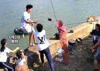 男子掉入魚塘前緊急扔出手機 真相曝光簡直太驚人了