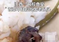 高校鼠頭涉事窗口幾乎沒人去吃飯 真相曝光簡直太驚人了