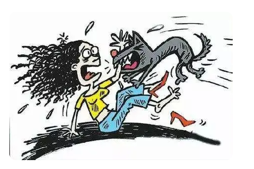 學(xué)校回應(yīng)校內(nèi)數(shù)只大型犬咬傷學(xué)生 始料未及真相簡直太意外了