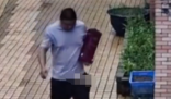 男子被墻角的蛇跳出攻擊 內幕實在太可怕了