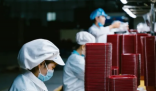 農民工賺不到錢 今年還進廠嗎？