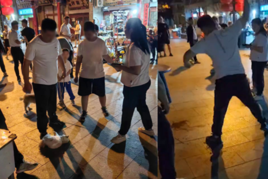 家長找商家退貓遭拒把貓摔死 背后真相實在讓人驚愕