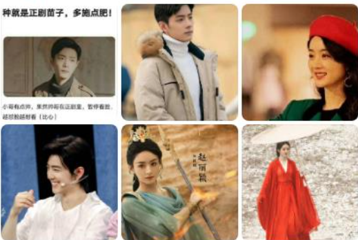 肖戰趙麗穎被網友說是正劇苗子 原因竟是這樣太意外了